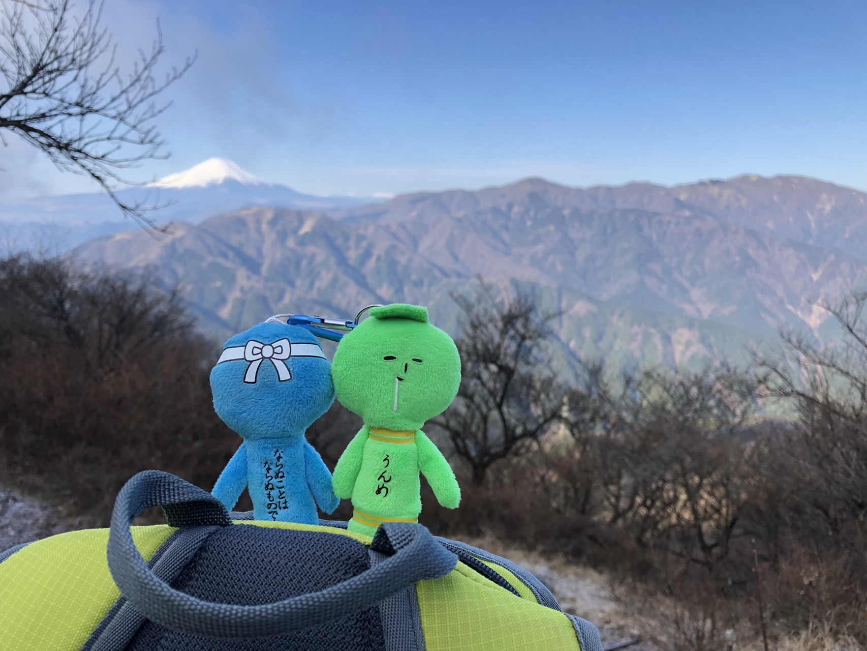 冬晴れ W 大山 ユウさんの大山の活動日記 Yamap ヤマップ