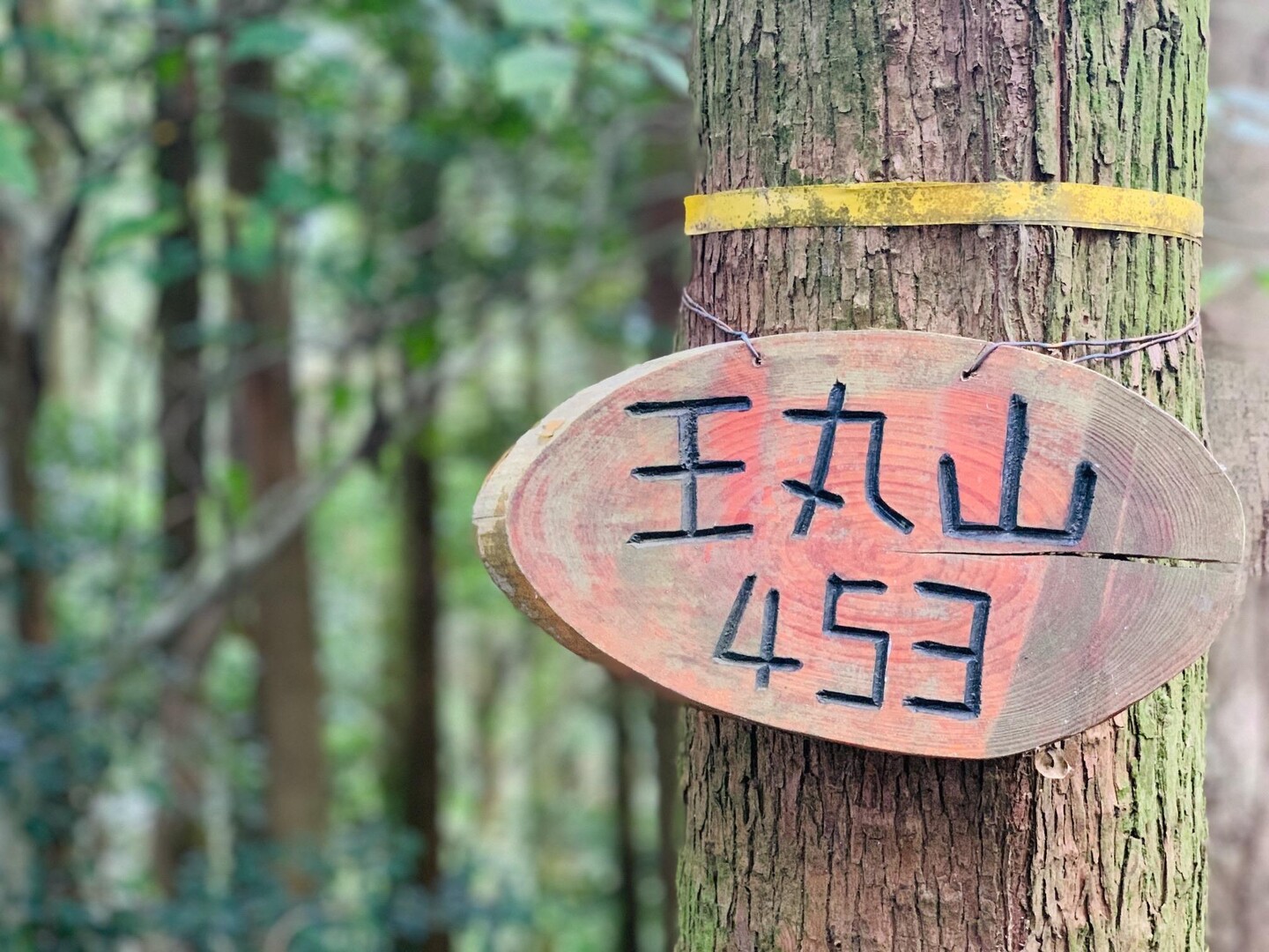 王丸山・上王丸山・鍋谷山 / こむぎんさんの雷山・井原山の活動データ | YAMAP / ヤマップ