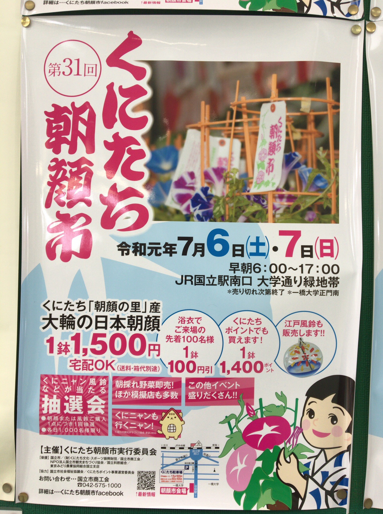 東京都国立市 くにたち朝顔市 エル丸さんの北多摩の活動日記 Yamap ヤマップ