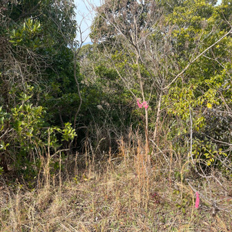 飯塚市 西の峰も行けるみたいですね。