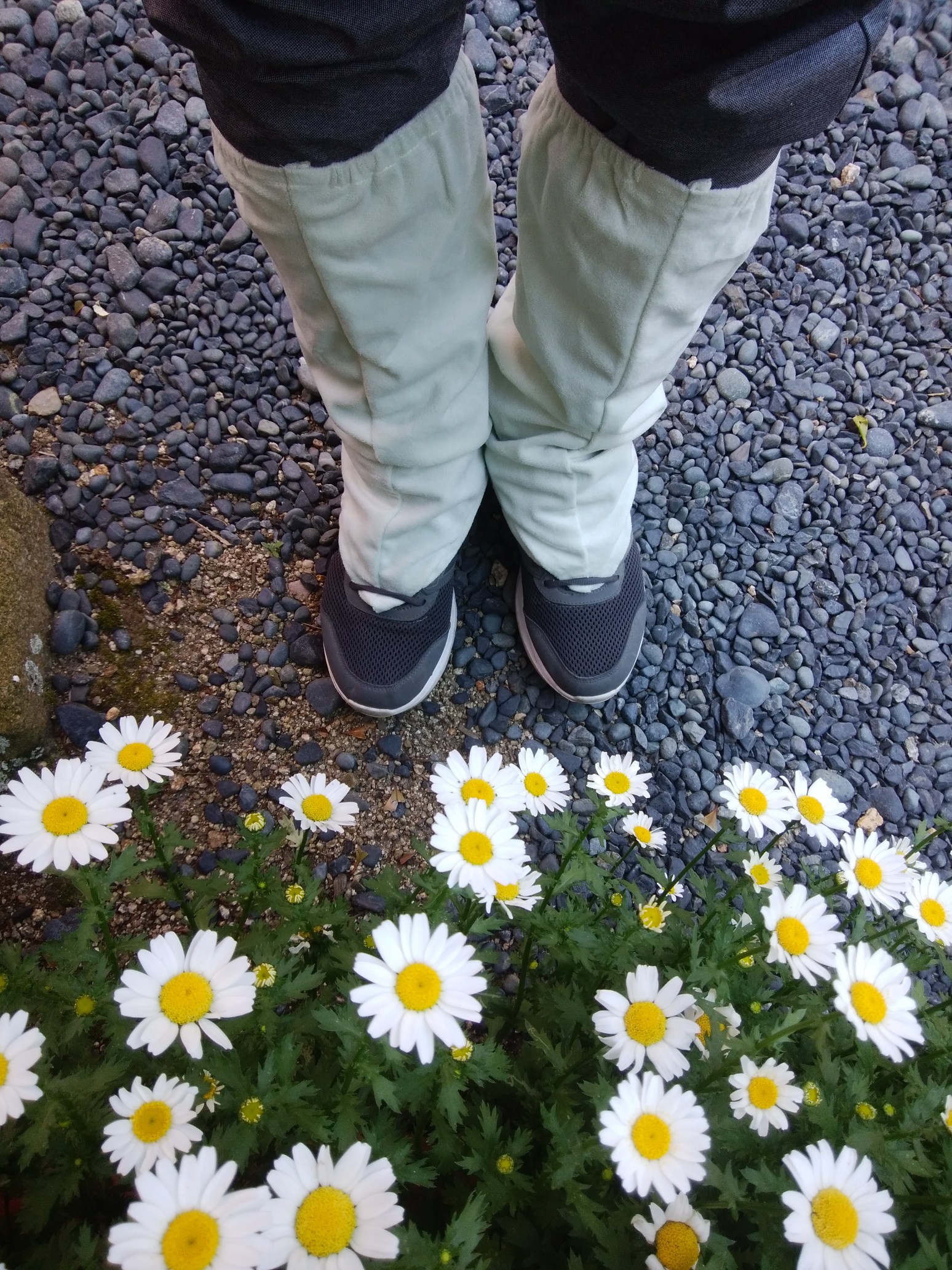 城山 綾歌 お手製の布ゲイターを履いてみた 螢草さんの高松市の活動日記 Yamap ヤマップ