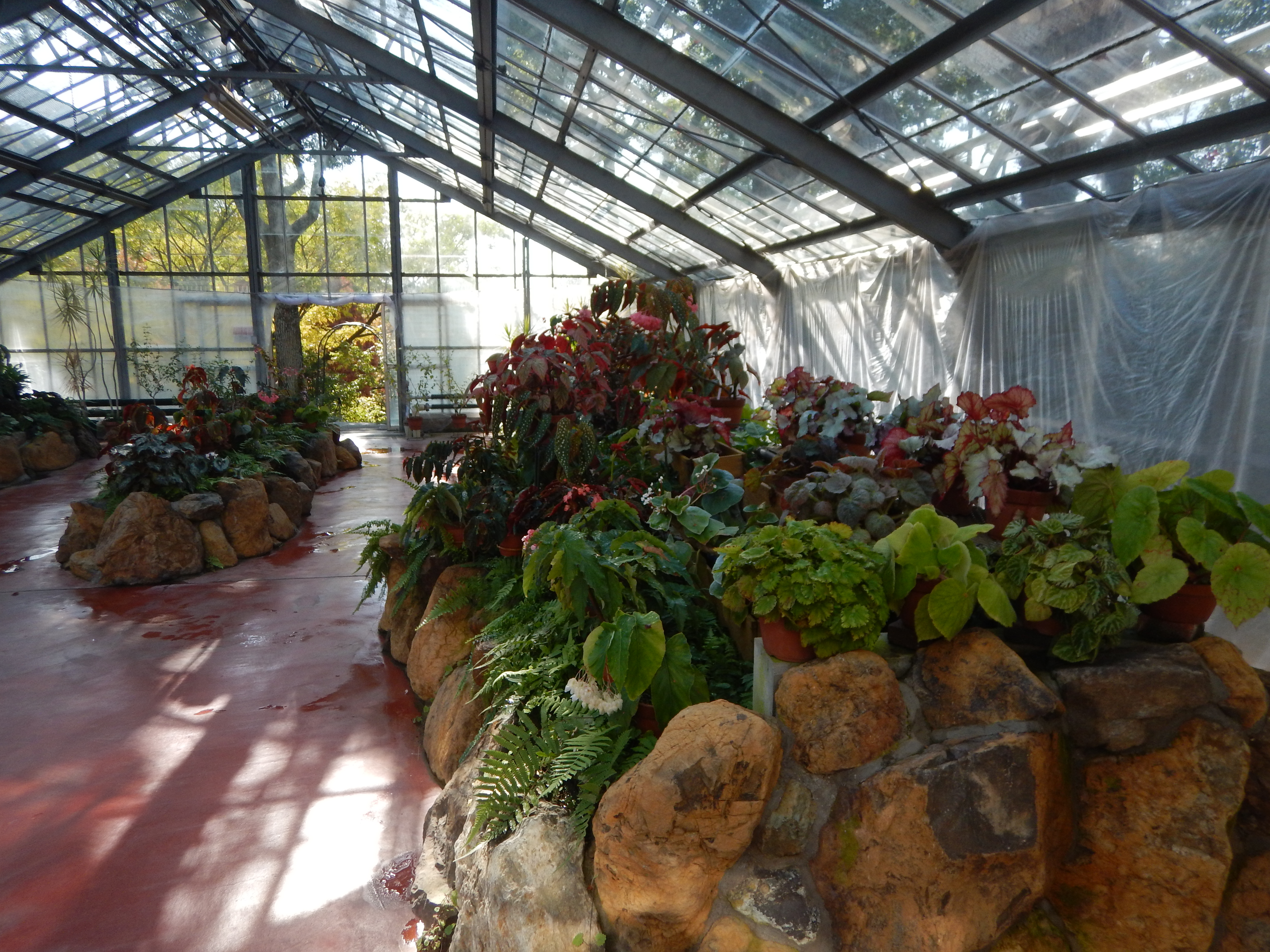 自宅から和歌山県植物公園 緑花センターまでサイクリング なかむらさんの和歌山市の活動データ Yamap ヤマップ
