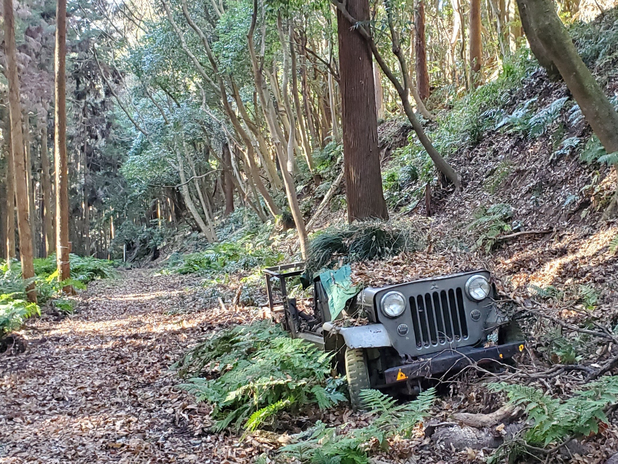 佐竹氏ゆかりの久米城跡 常陸太田 きささんのウォーキングの活動データ Yamap ヤマップ