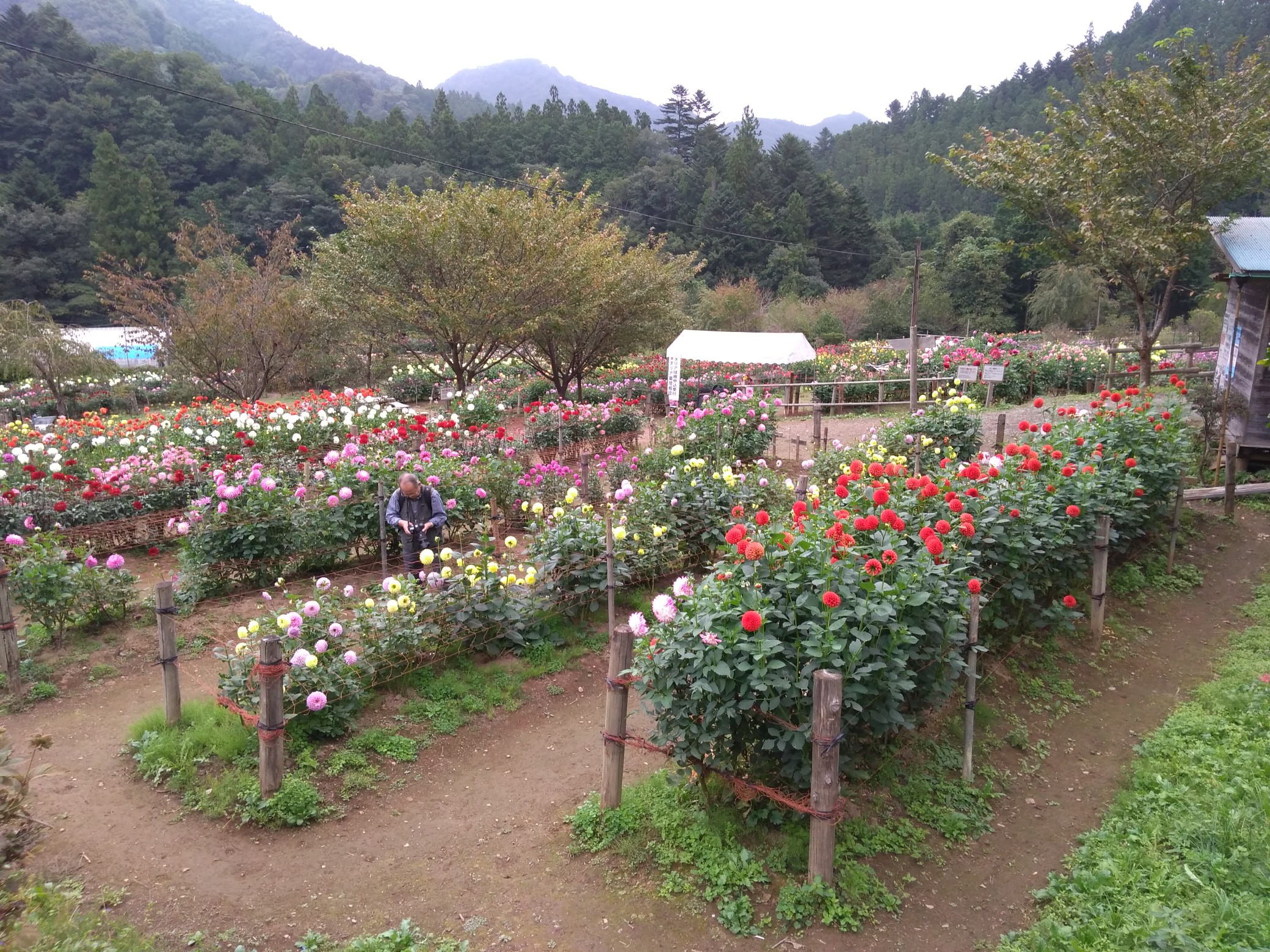 日向大谷口 薬師堂 里へ下る 番外編 ひとりｃｃｂ両神山 Shundou1959さんの両神山 諏訪山 二子山の活動データ Yamap ヤマップ