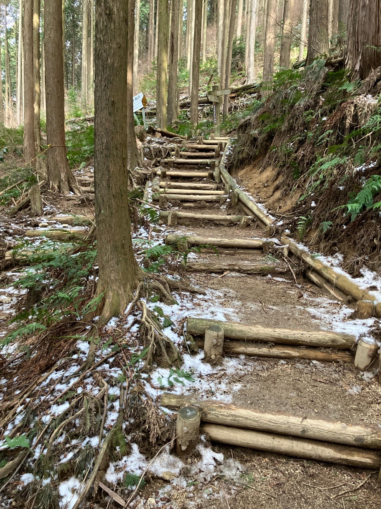 Amazon.co.jp: 泰山金剛経 五福大来 二幅で : ホーム＆キッチン