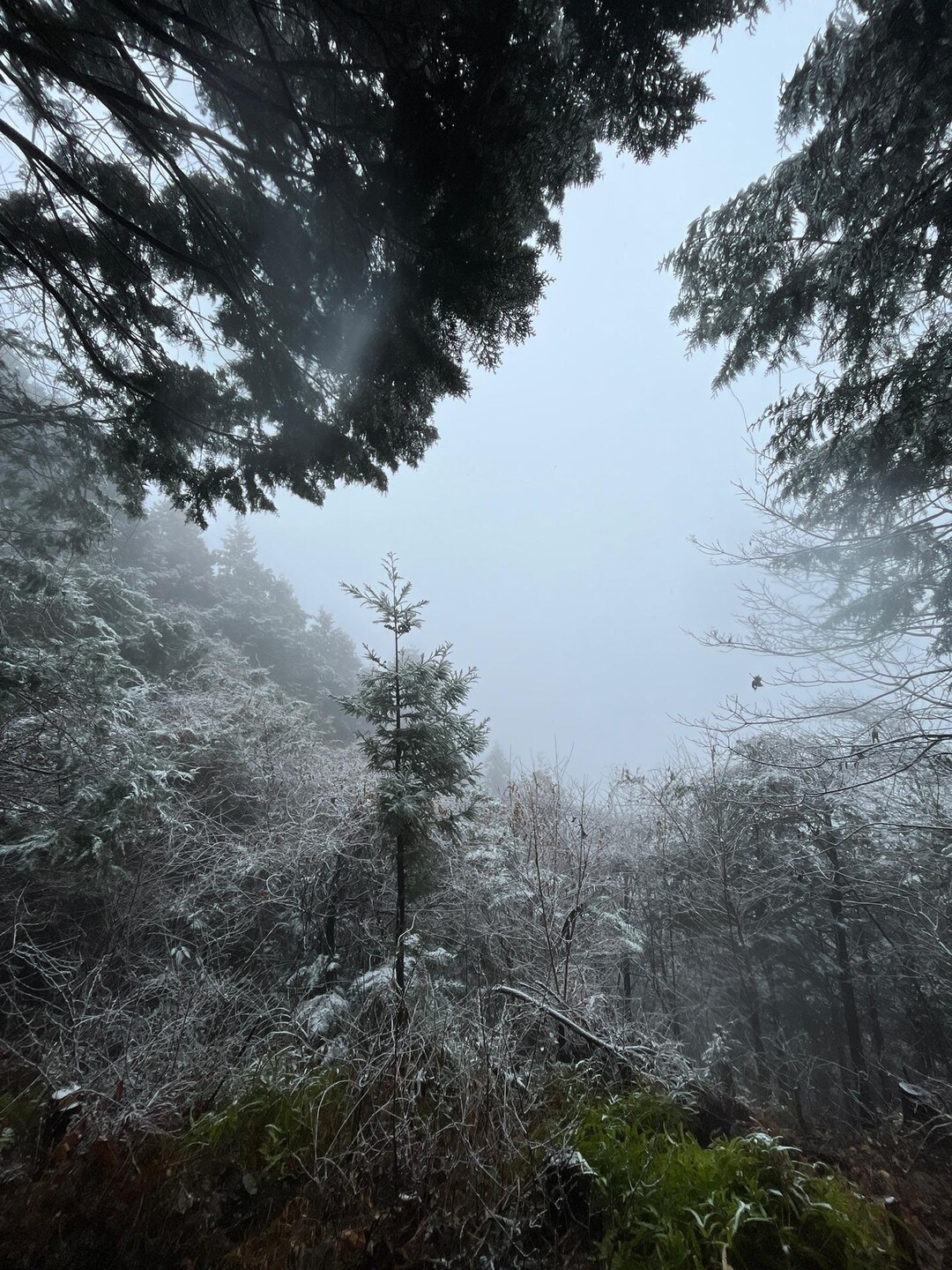 城山（腰越城跡）・石尊山・官ノ倉山・不動沢の頭・烏森山（虚空蔵山）・天ノ峰・臼入山（細窪山） / ひっきいさんの官ノ倉山の活動データ ...