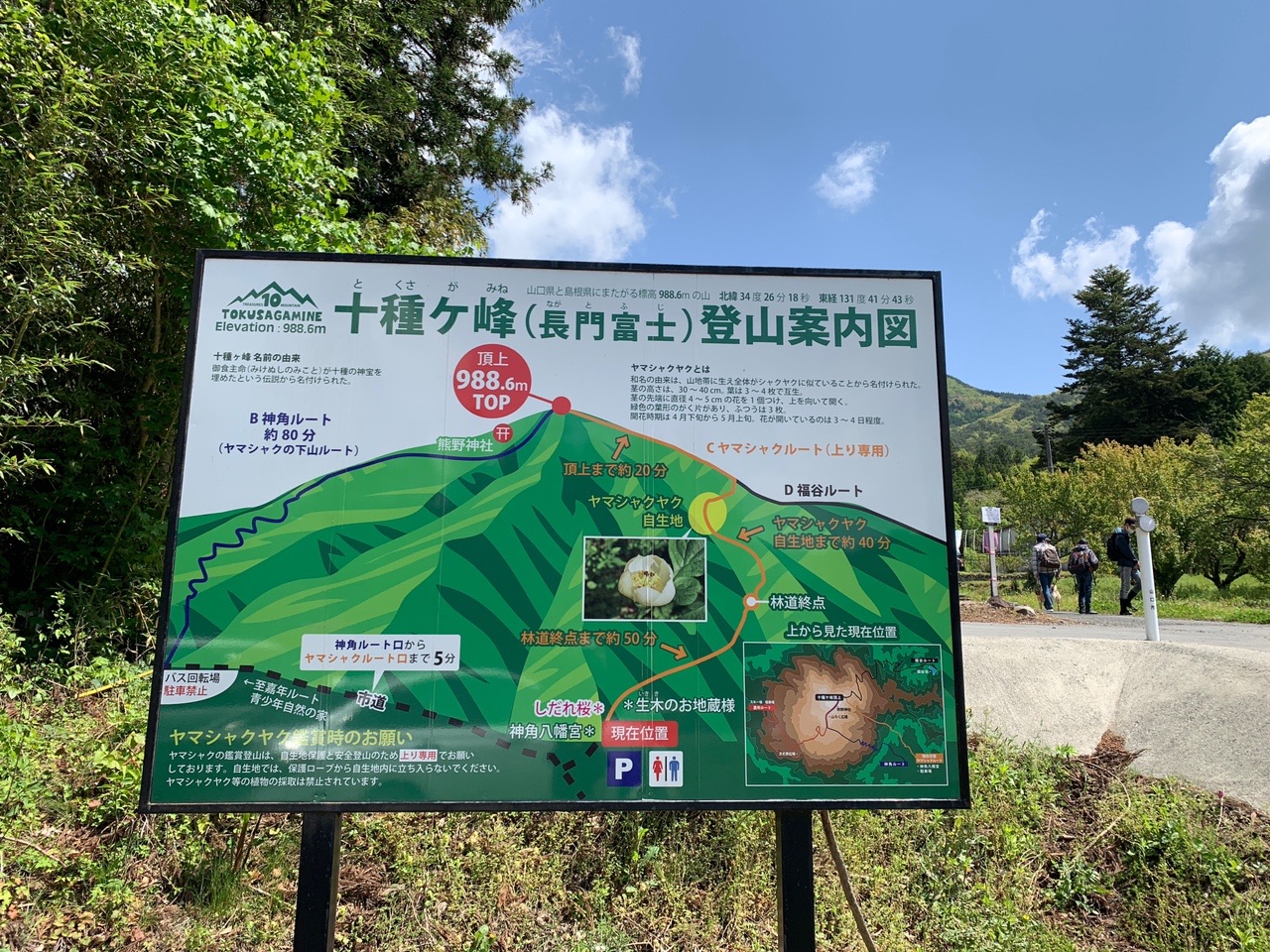 十種ヶ峰 春の花めぐり 山ん坊sさんの十種ヶ峰の活動日記 Yamap ヤマップ