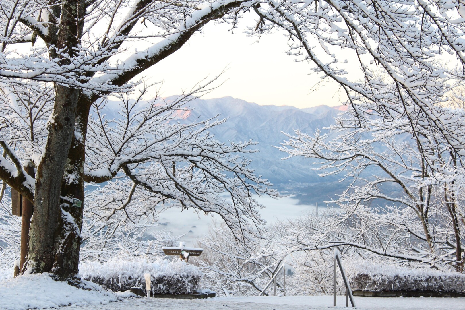雪の妙法ケ岳 三峯神社 奥宮 01 19 Koh Egoさんの雲取山 鷹ノ巣山 七ツ石山の活動データ Yamap ヤマップ