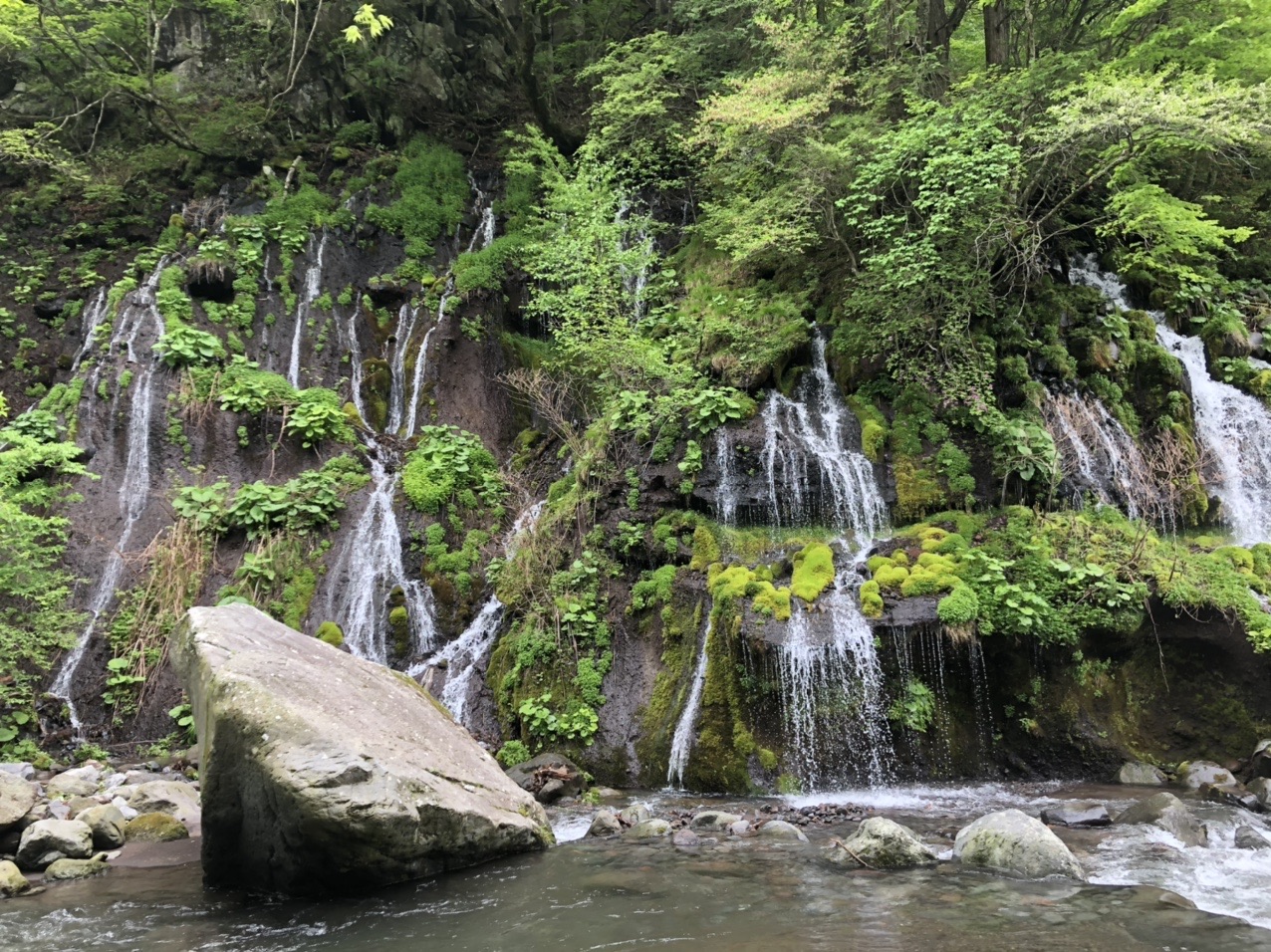 川俣川渓谷 吐竜の滝 と清里散策 ハルさんの八ヶ岳 赤岳 硫黄岳 天狗岳 の活動データ Yamap ヤマップ
