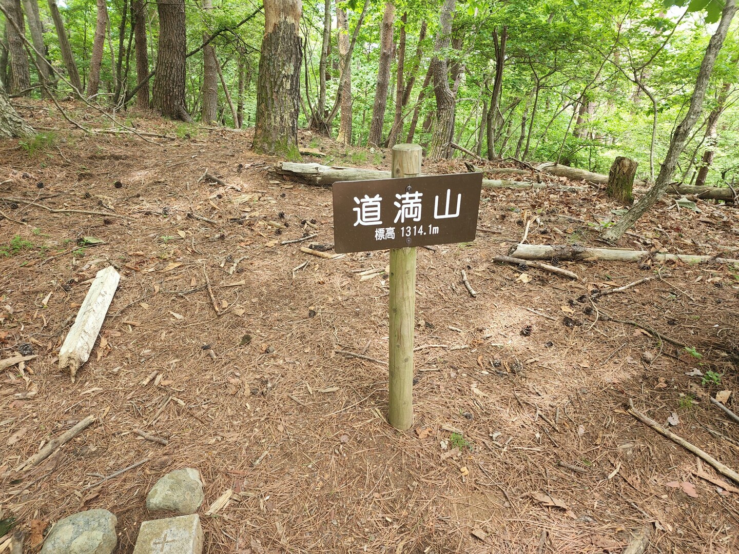乾徳山 道満山 乾徳山 黒金山の写真41枚目 特に何もないもよう 歩きやすいところと Yamap ヤマップ