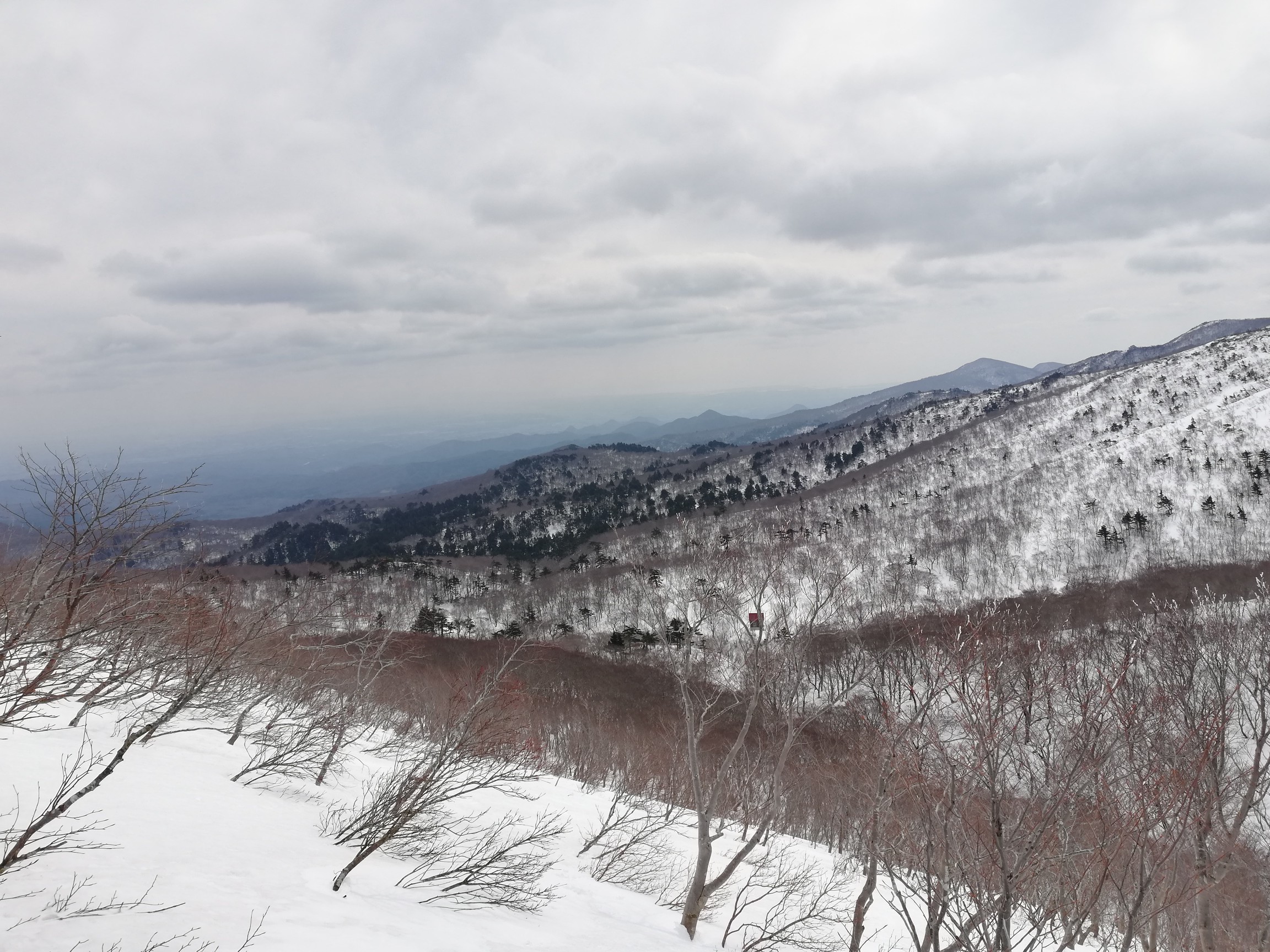 升沢小屋から登った所雪も深くてココが1番難所でした