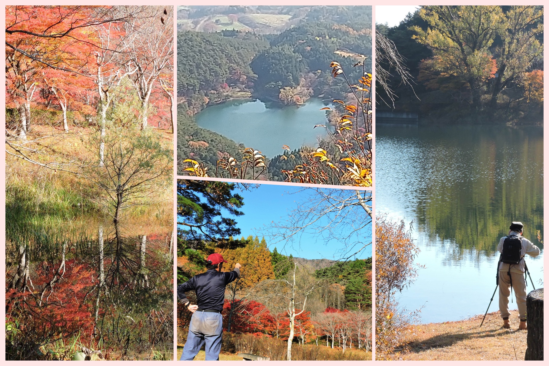 紅葉見頃が続く半田沼畔 と半田山からの レイク おおそねさんの半田山 萬歳楽山の活動データ Yamap ヤマップ