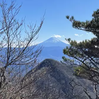 富士山キレイ🗻
そしてここで大蔵経寺山を諦める😂