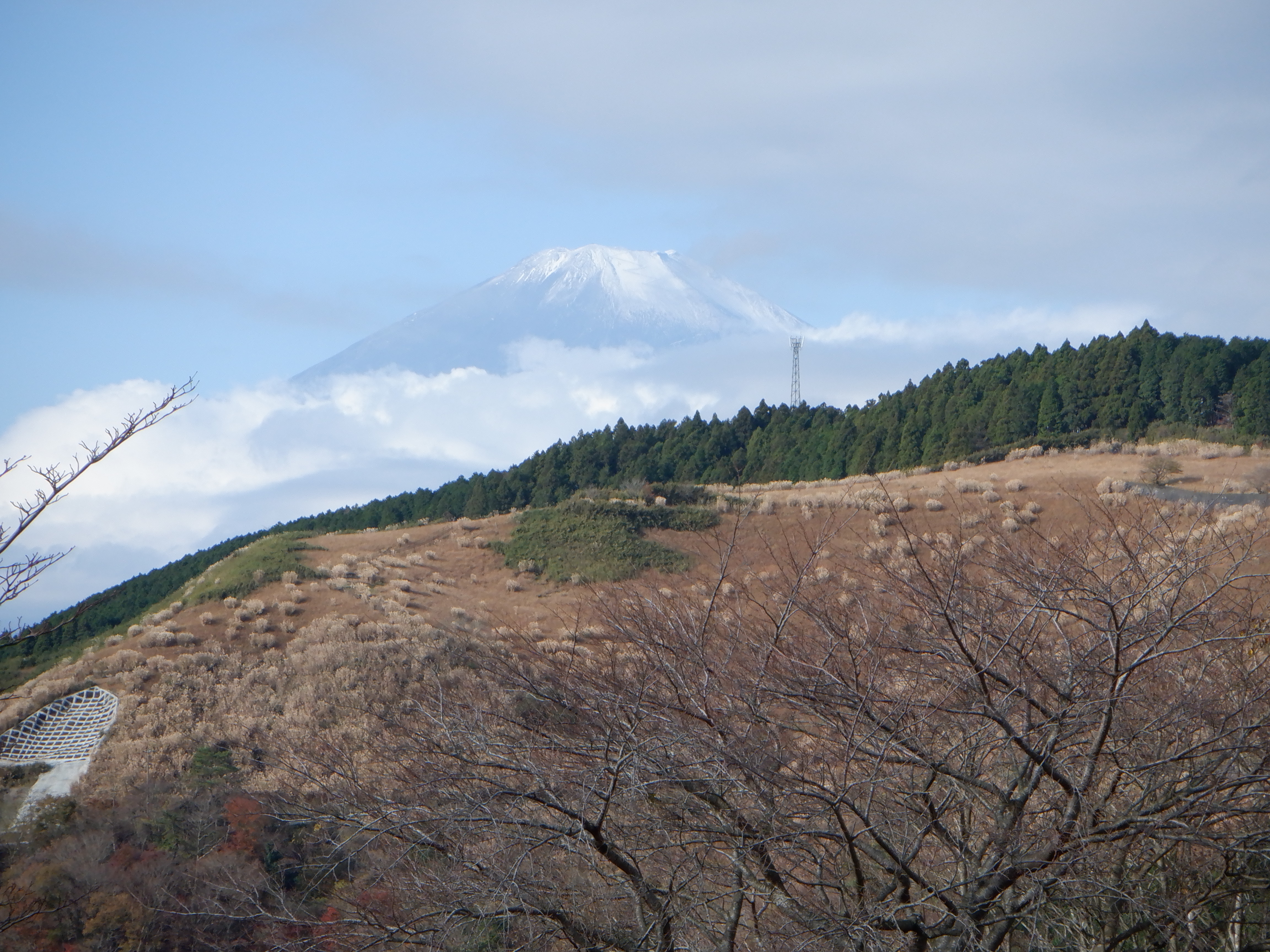 大野山 高杉コース さまようオオアリクイさんの高松山 大野山の活動データ Yamap ヤマップ