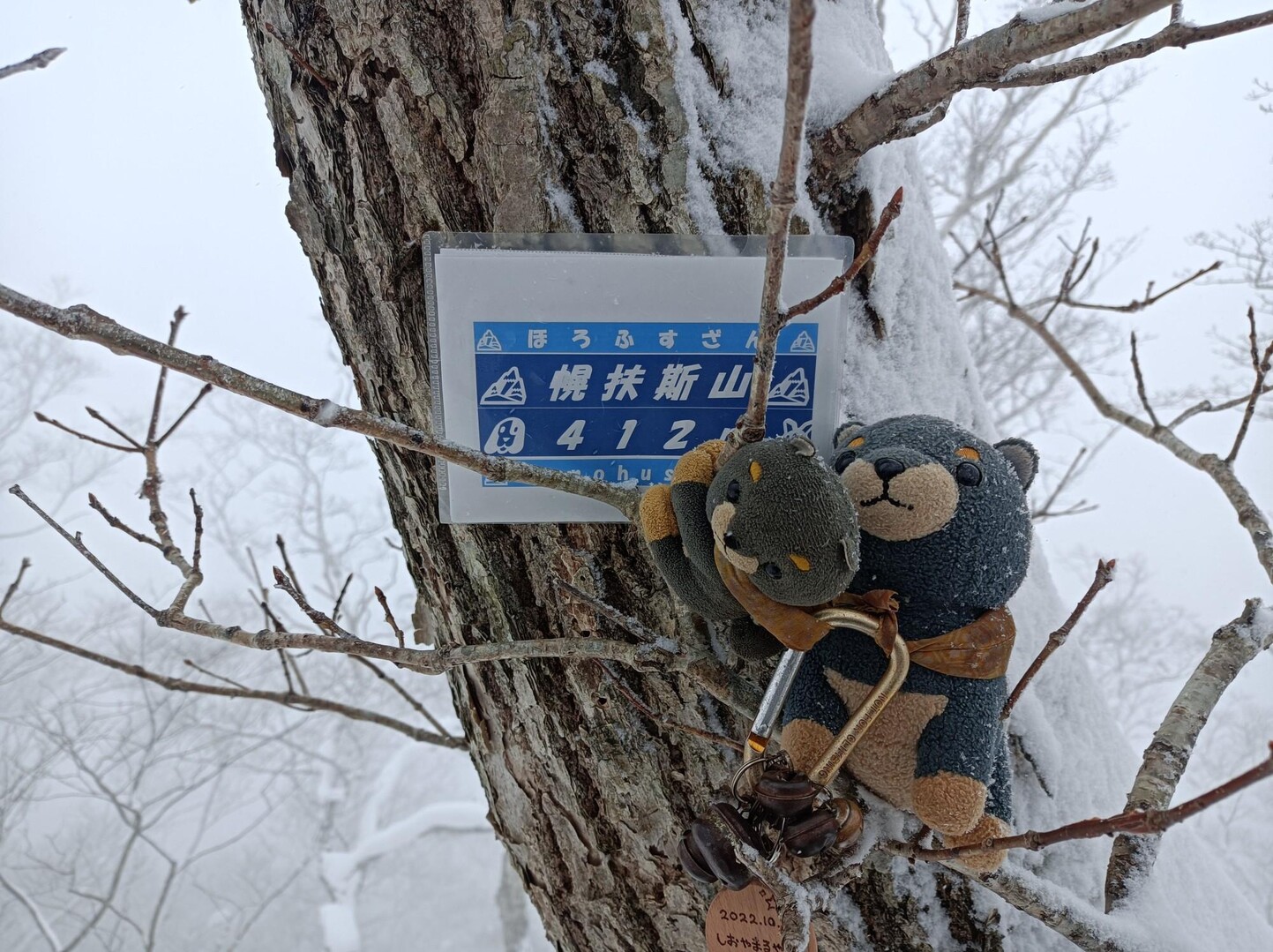 幌扶斯山～礼文華峠～ 2023-02-23 / プルー🐶さんの礼文華峠の活動データ | YAMAP / ヤマップ