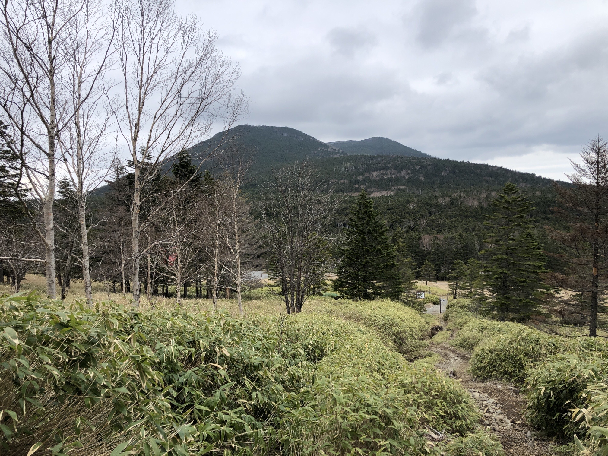 下山してきたー。