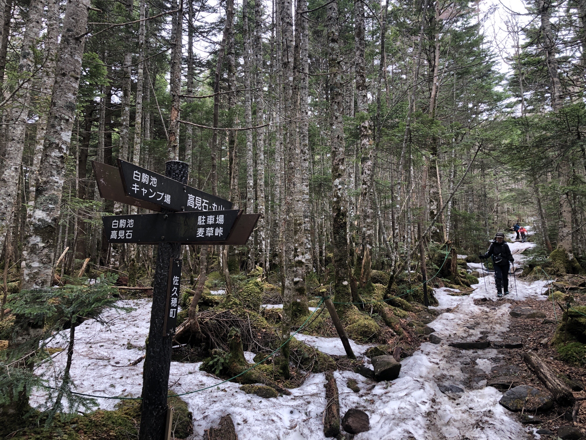 高見石の分岐、左手は、急登コース、右手は 楽チンコース^_^