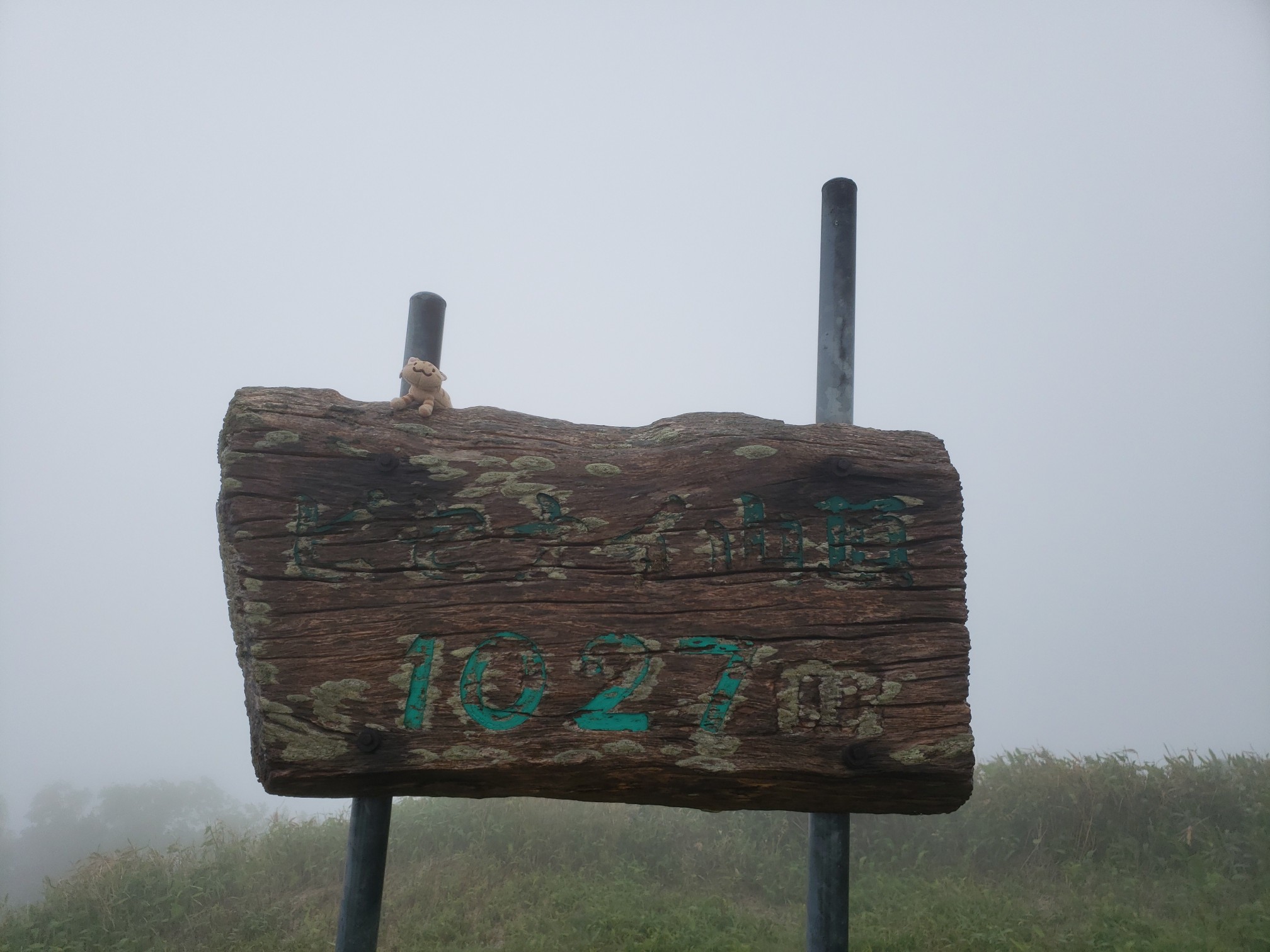 日高ピセナイ山20190615 / 小太郎さんのピセナイ山の活動データ YAMAP / ヤマップ