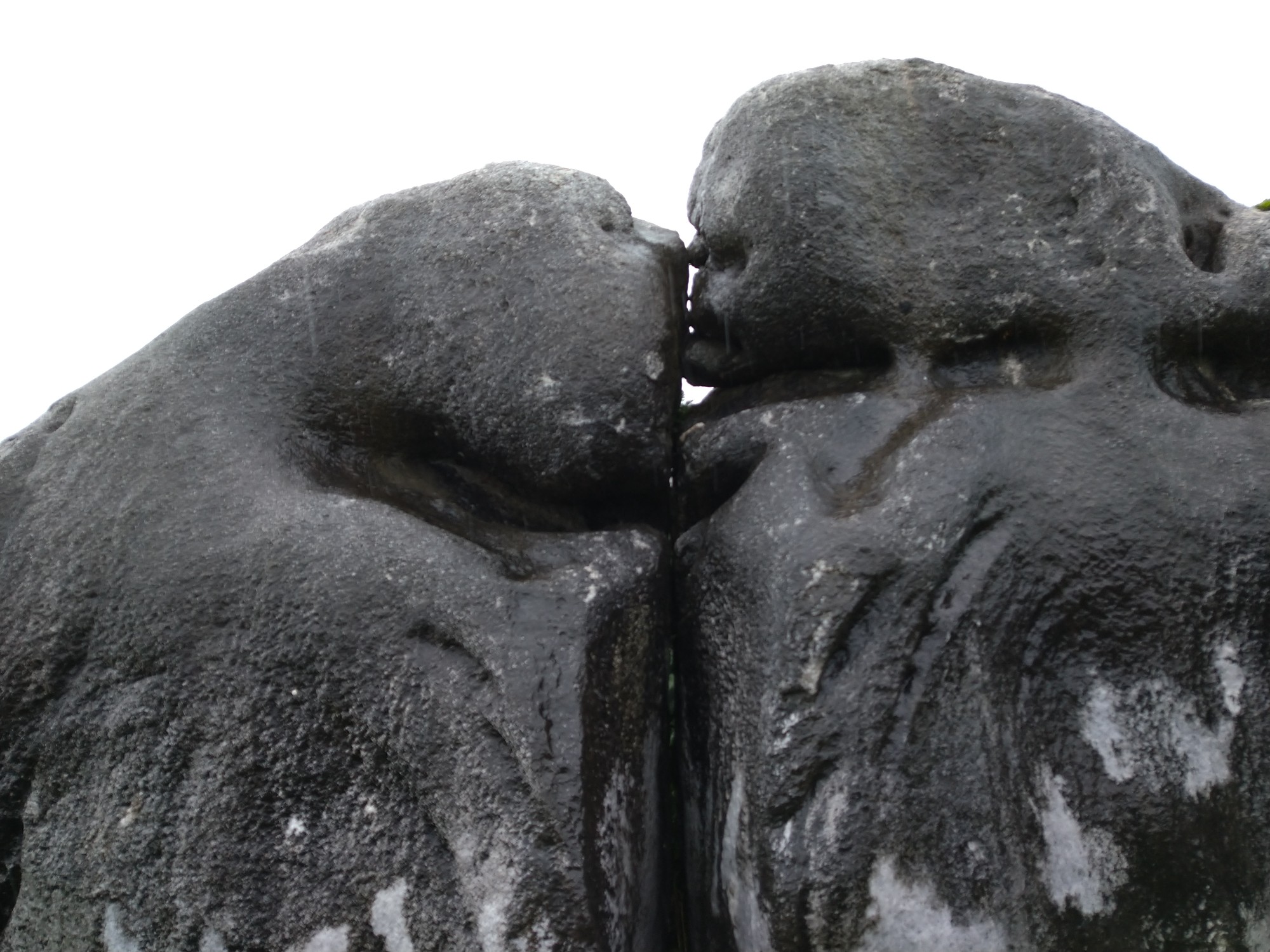 とことん歩きたおし隊 平尾台は突然に 7 12 のぶちさんの平尾台 貫山 水晶山の活動日記 Yamap ヤマップ