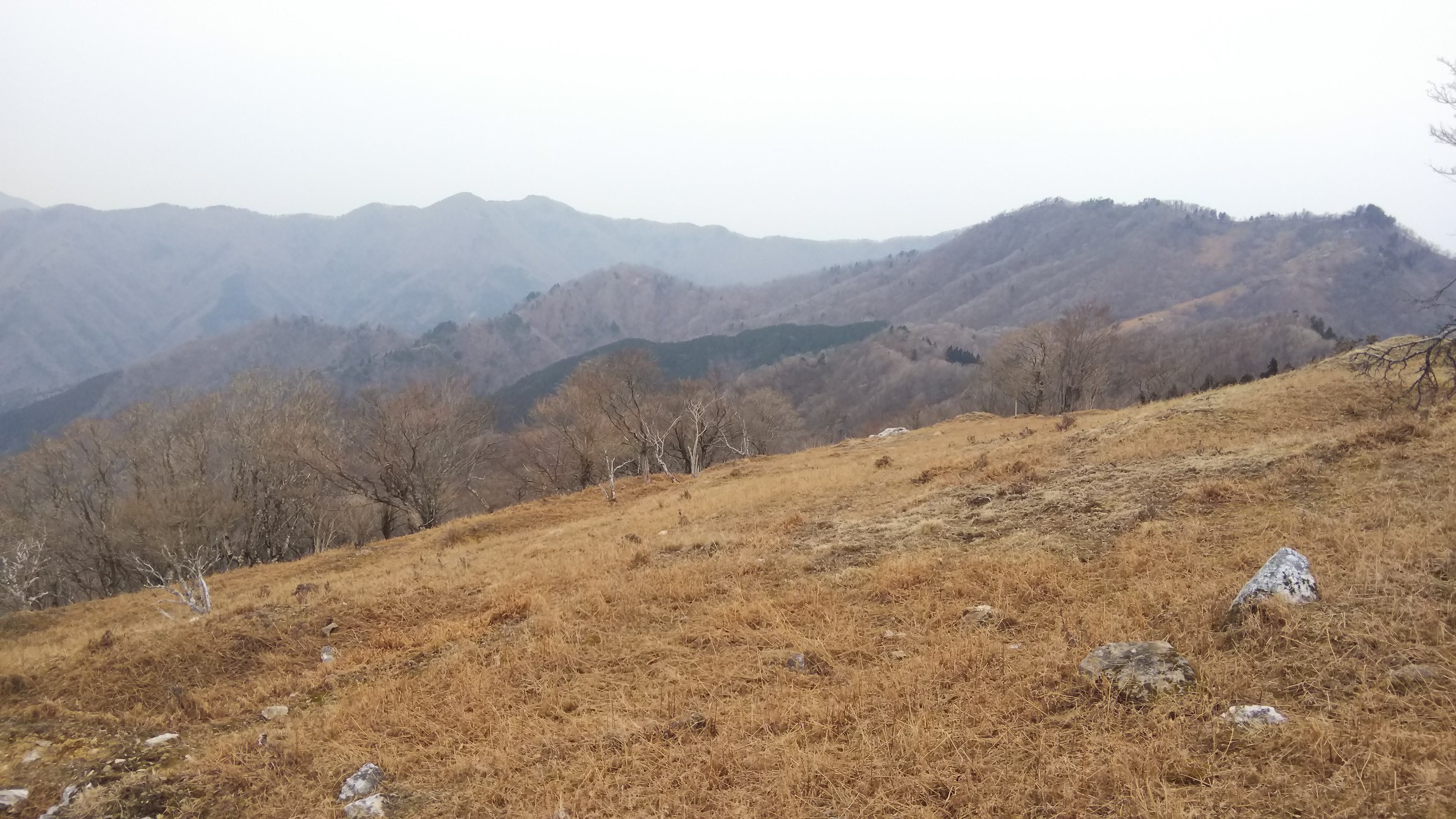 台高マイナー バリルート縦走 赤グラ山 高塚 戸倉山 登尾 高尾山 大鯛山 白鬚岳 北股川林道起点周回 しもさんの池木屋山の活動日記 Yamap ヤマップ