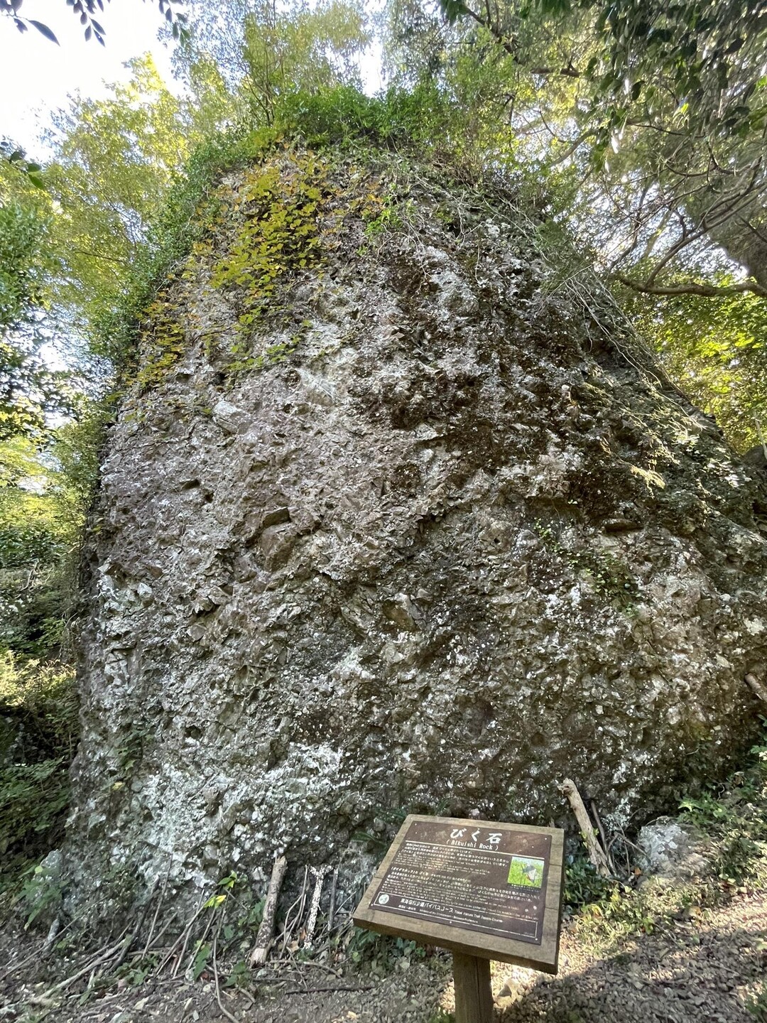 石谷山（びく石） / 大福さんの高根山・菩提山・高尾山の活動データ | YAMAP / ヤマップ