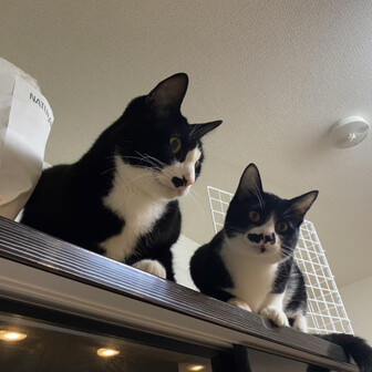 タムのページ YAMAP / ヤマップ