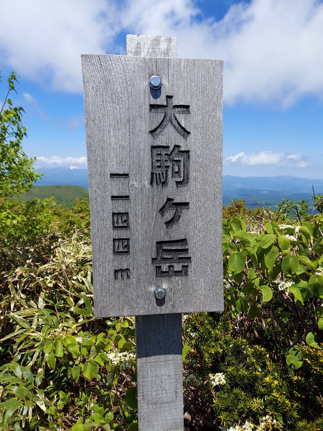 大駒ヶ岳 / わたるさんの三ッ岳（戸来岳）・十和田山・十和利山の活動データ YAMAP / ヤマップ