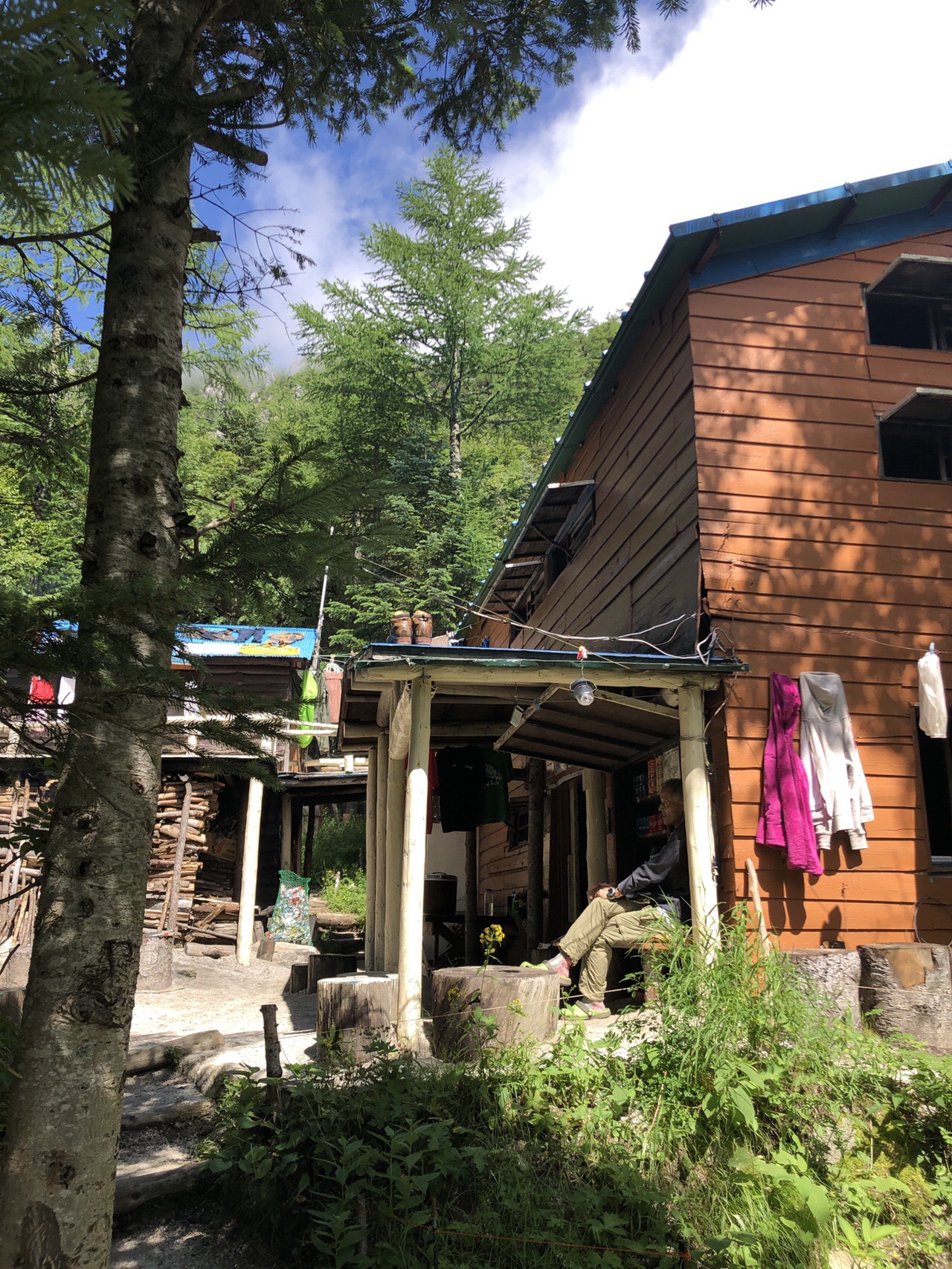鳳凰山 ドンドコ沢より周回 Aoさんの鳳凰山 地蔵岳 観音岳 薬師岳の活動日記 Yamap ヤマップ