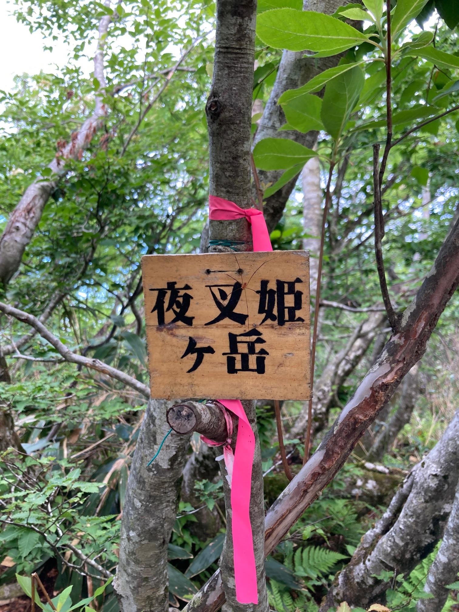 近江百山 - 株式会社ナカニシヤ出版