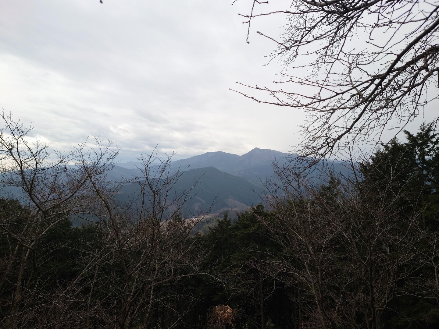 石尊山・官ノ倉山 / ひでちゃんさんの官ノ倉山の活動データ | YAMAP / ヤマップ