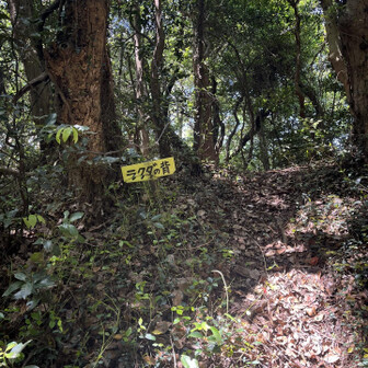 五井山・宮路山・御堂山 行ってみたけどよくわからず