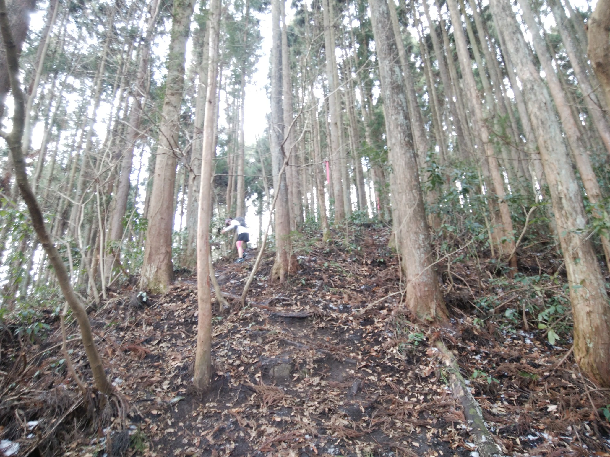 Azukiさんと蕃山周辺周回 ドタコさんの太白山 萱ヶ崎山 蕃山の活動データ Yamap ヤマップ