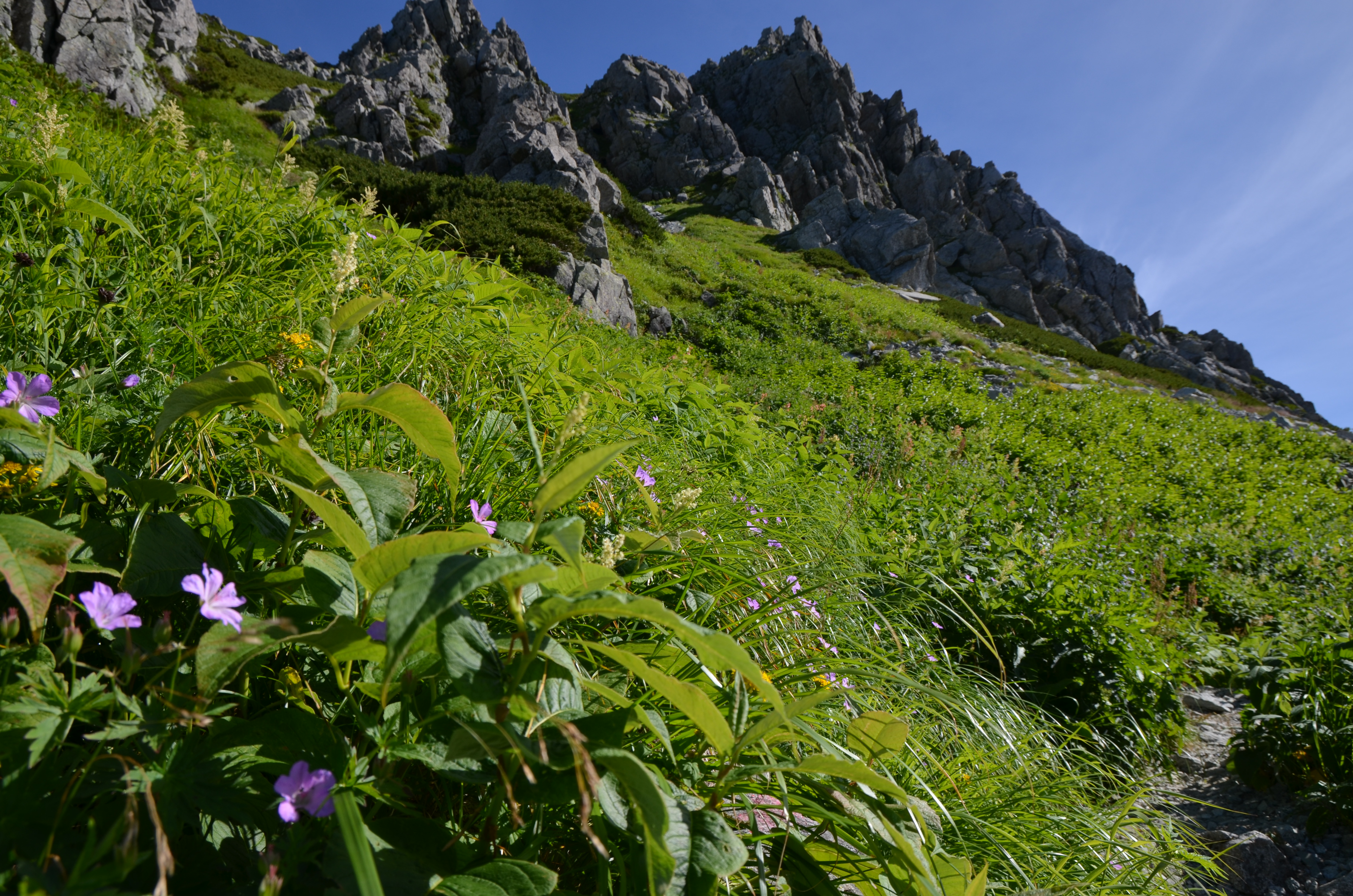 薬師岳 立山縦走 ４日目五色ヶ原山荘 立山室堂 帰宅 とりたけさんの立山 雄山 浄土山の活動日記 Yamap ヤマップ