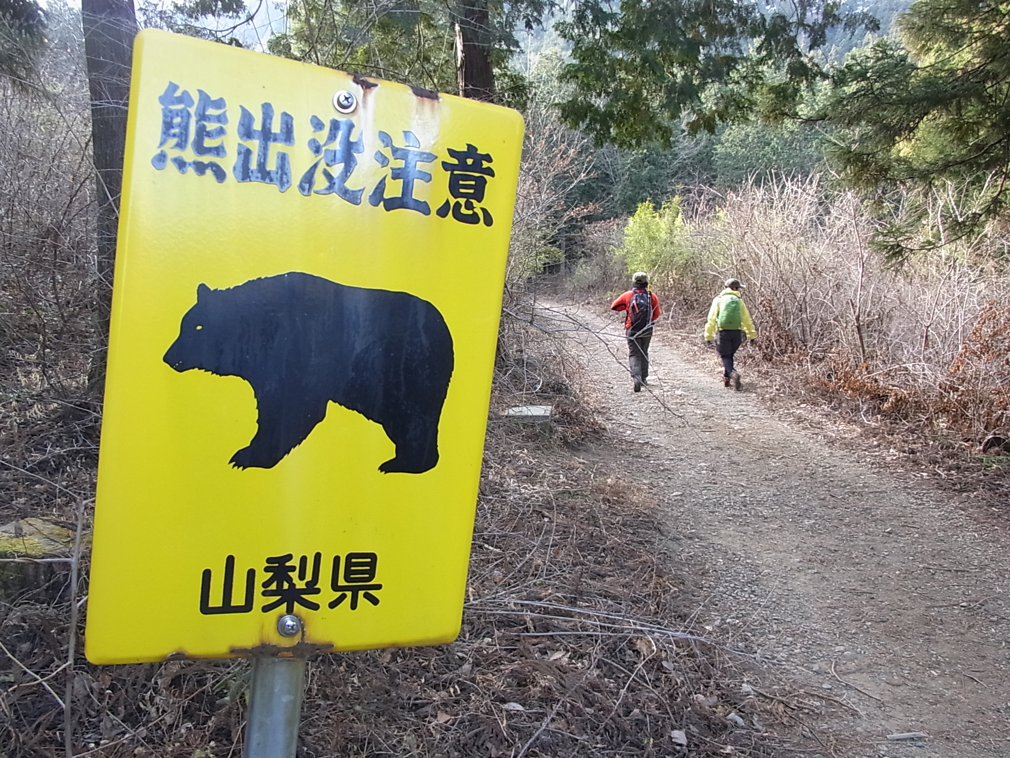 熊出没注意 看板やクマさんのこと まさ10さんの横浜市 南エリアの活動日記 Yamap ヤマップ