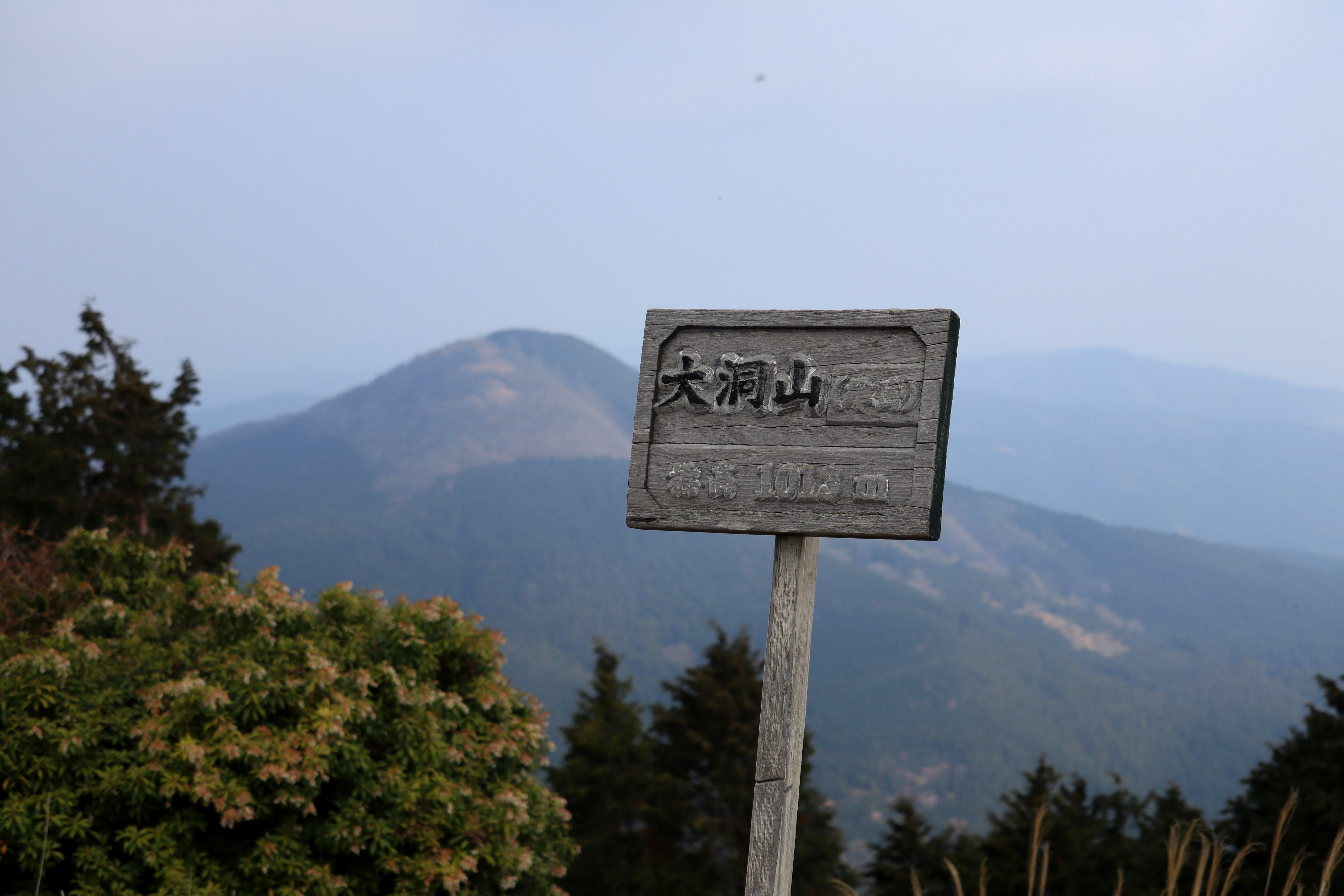 桜まつりの終わった三多気から大洞山まで周回 Nagskyさんの大洞山 三重県津市 尼ヶ岳の活動データ Yamap ヤマップ