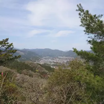 天狗岩から日向和田方向を眺める。画像には写ってないが左下にてカモシカが木の若芽を食べていた。