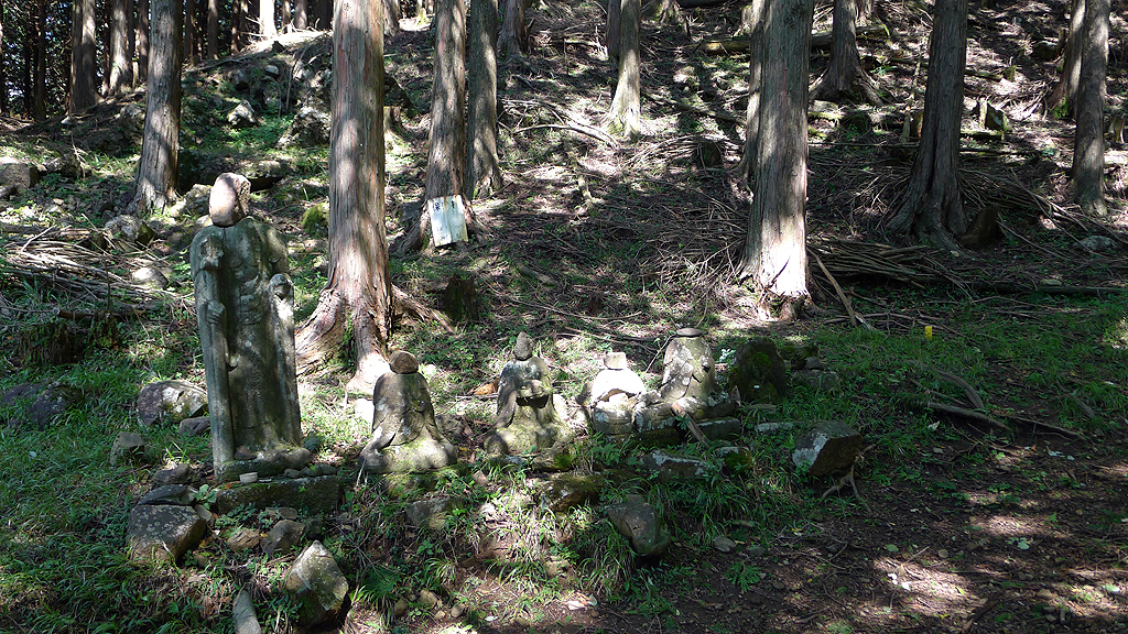 再び猛暑の大山 一人歩き さぶろうさんの大山の活動日記 Yamap ヤマップ