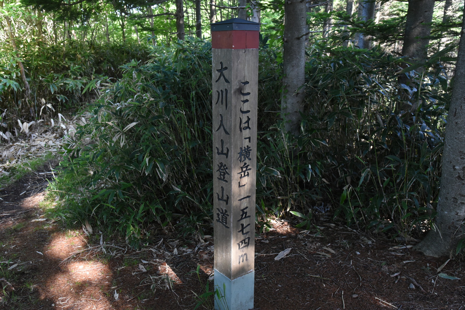 大川入山・横岳 横岳山頂。ピーク感、眺望なし。