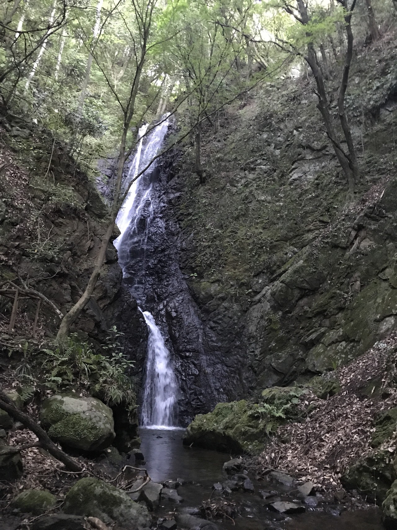 頭高山と神山滝から矢倉沢往還道経由で自宅周辺まで ぽてちさんの高松山 松田町 山北町 大野山の活動データ Yamap ヤマップ