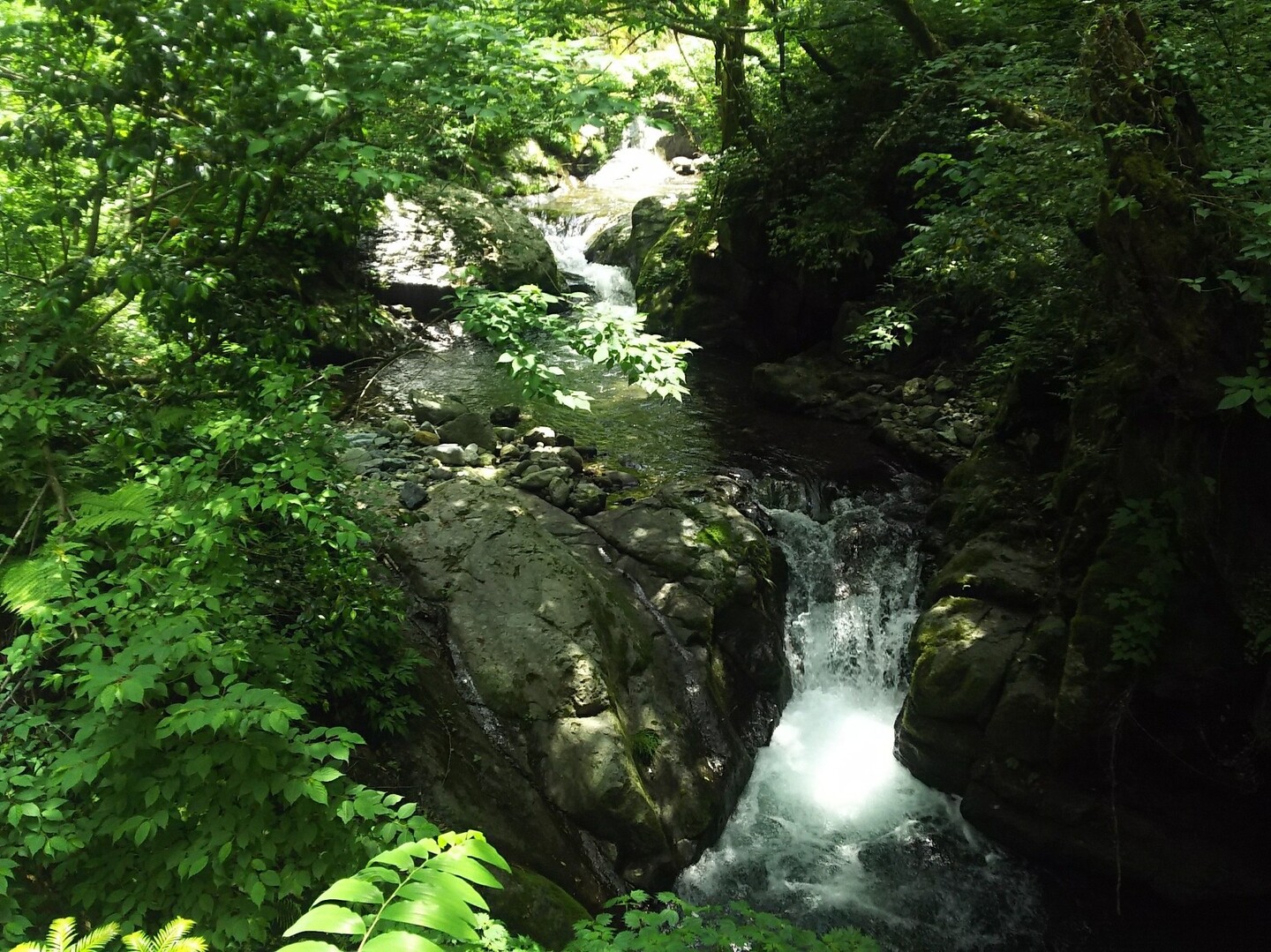 龍双ヶ滝ライド Ichiさんの一乗城山の活動日記 Yamap ヤマップ