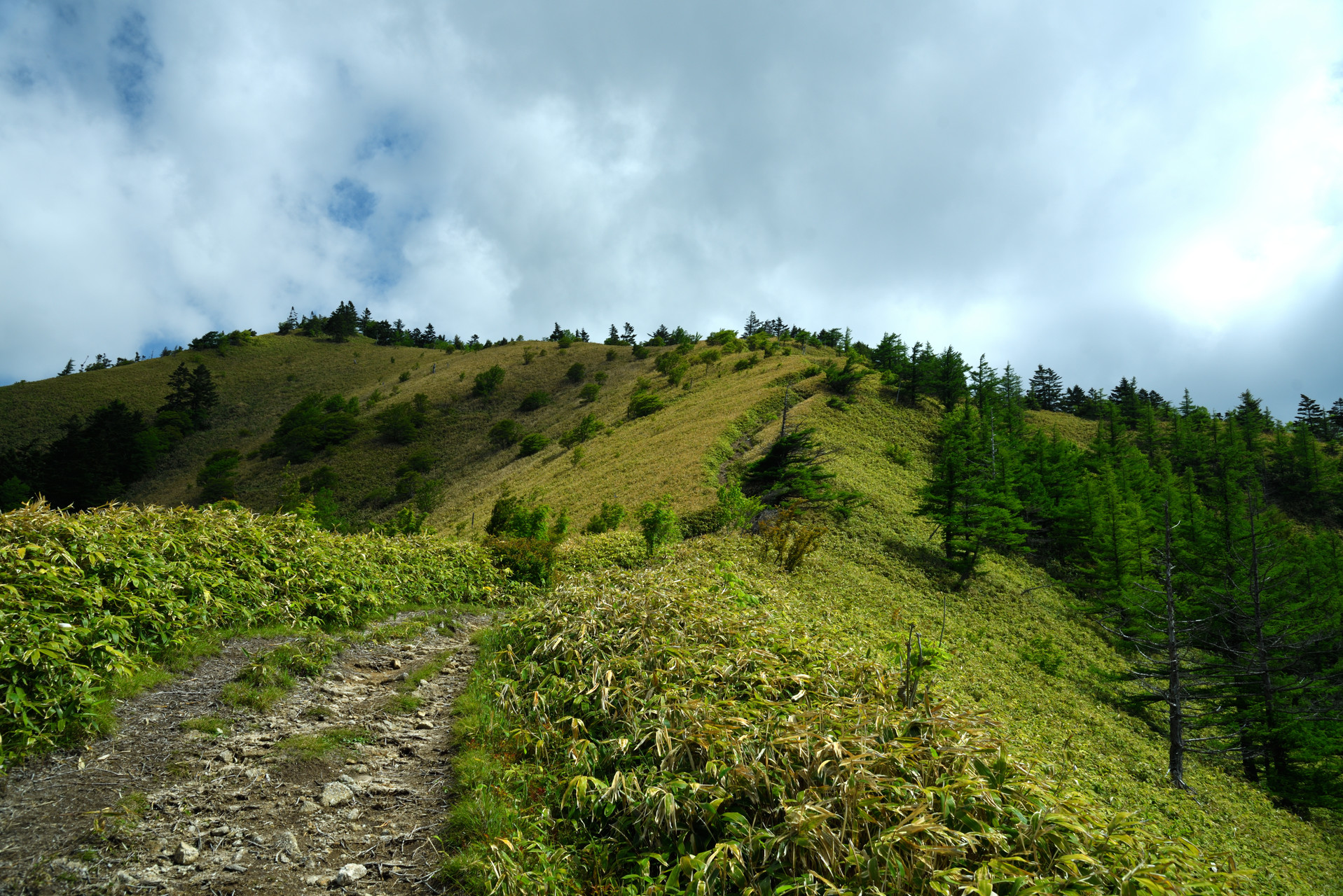 大川入山・横岳 見晴らしのいい尾根を歩きます。