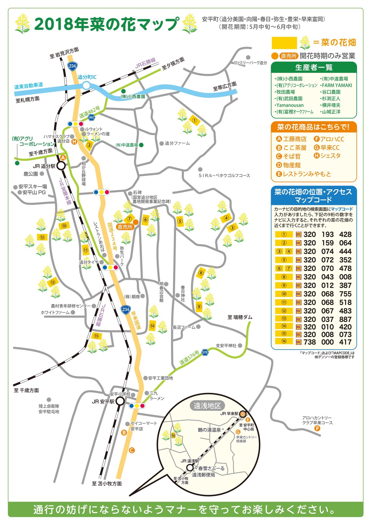 安平町 菜の花ウォーキング ギグメンさんの千歳市の活動日記 Yamap ヤマップ