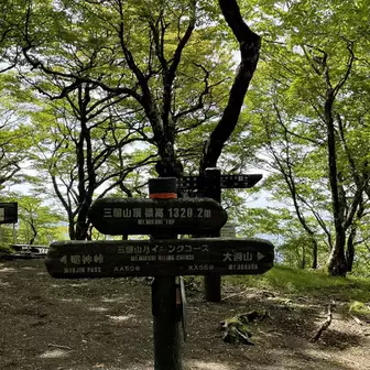 三国山山頂到着👏
甲相駿国境線が交わる超胸熱地点❣️
静岡県と山梨県の山頂看板🪧です。