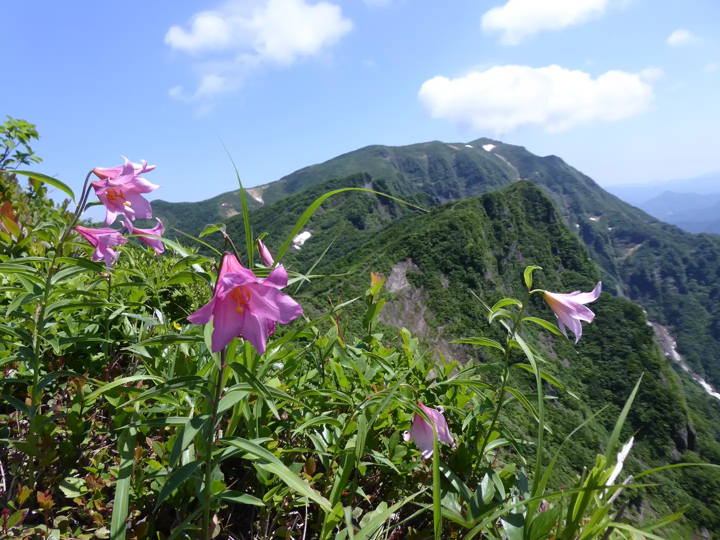 六十里越から鬼ヶ面山 みどりさんの浅草岳 鬼ヶ面山の活動データ Yamap ヤマップ