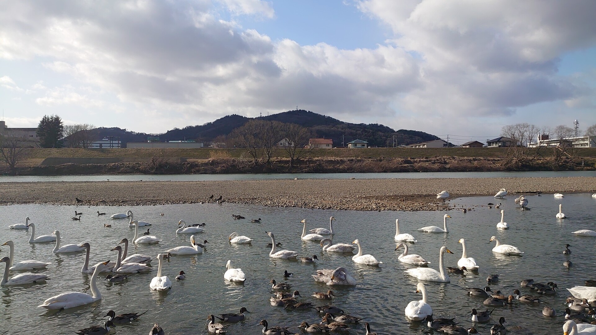 福島市内散歩 信夫山と花見山 Takeさんの福島市の活動日記 Yamap ヤマップ