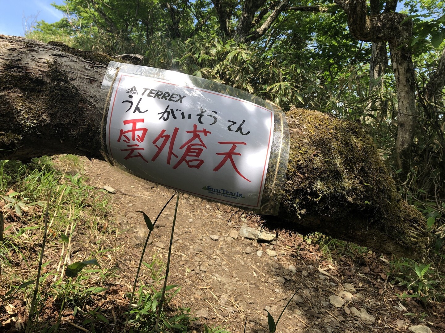 平成の大失速 Nagipeaks Fujitrekさんの那岐ピークス タフトレイル チャレンジ19の活動日記 Yamap ヤマップ