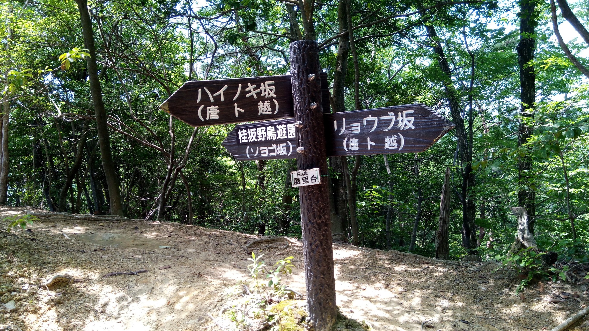 沓掛山 上桂からのソロハイク まことおじさんの唐櫃越 沓掛山 京都府 みすぎ山の活動日記 Yamap ヤマップ