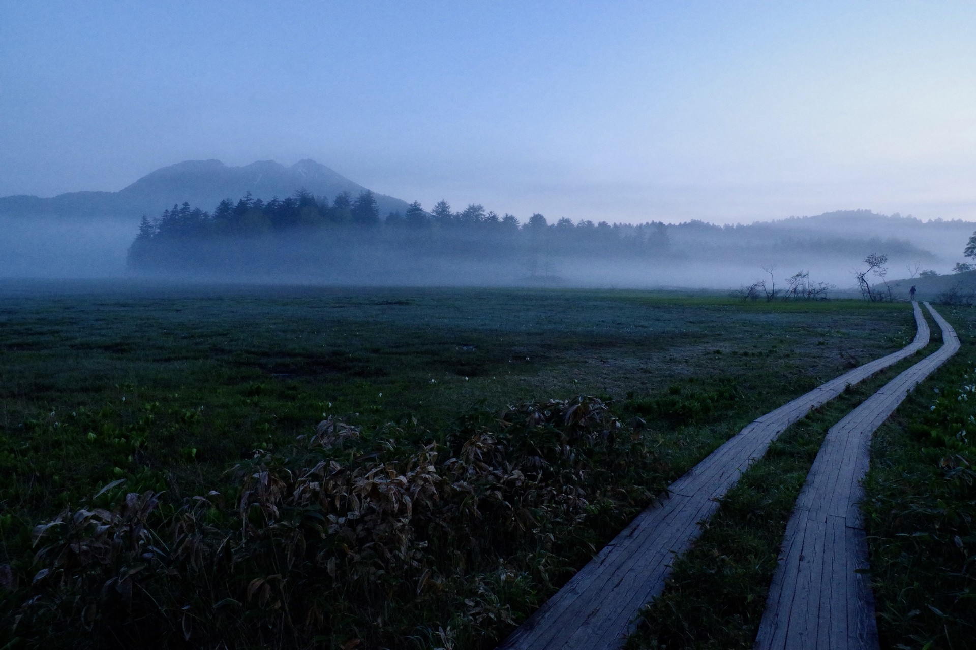 尾瀬横断ハイキング 鳩待峠 尾瀬ヶ原 尾瀬沼 大清水 まこっちゃんさんの尾瀬 燧ヶ岳の活動日記 Yamap ヤマップ