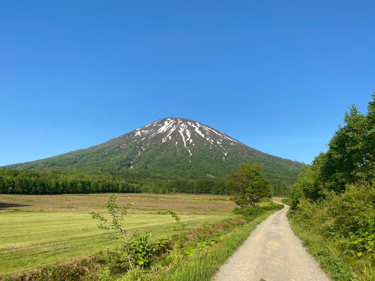 羊蹄山 京極コース 山だ さんの羊蹄山 蝦夷富士 の活動データ Yamap ヤマップ