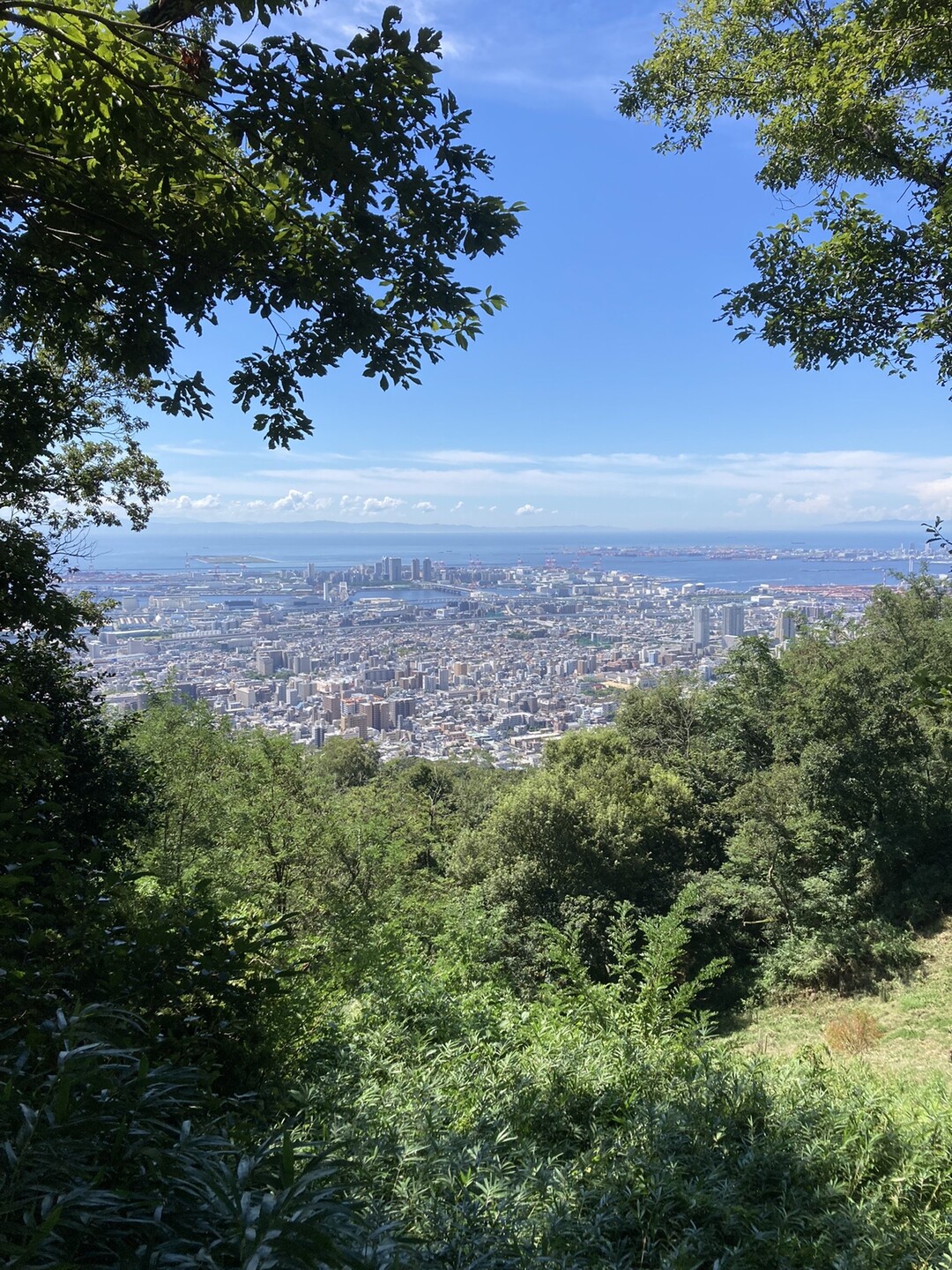 金鳥山・本庄山・東お多福山・蛇谷北山・後鉢巻山・六甲山 / zimaさんの六甲山・長峰山・摩耶山の活動データ | YAMAP / ヤマップ
